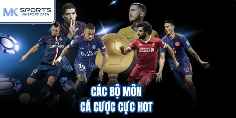 Các bộ môn cá cược cực hot