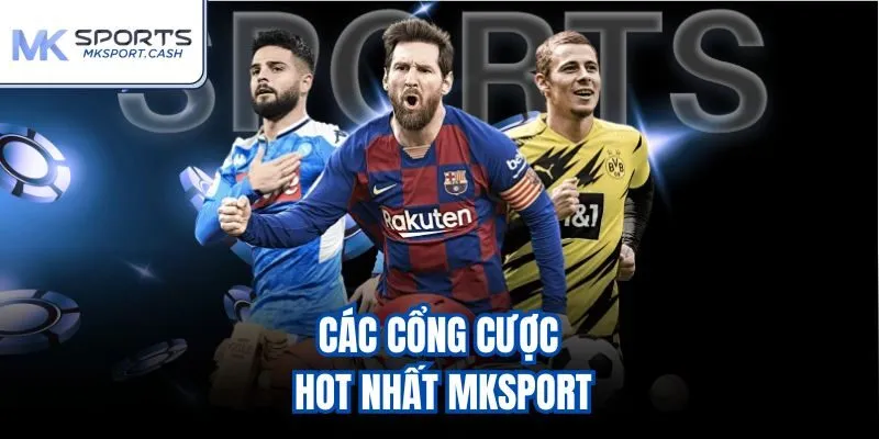 Các cổng cược hot nhất mksport