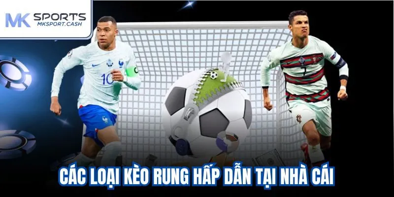 Các loại kèo rung hấp dẫn tại nhà cái