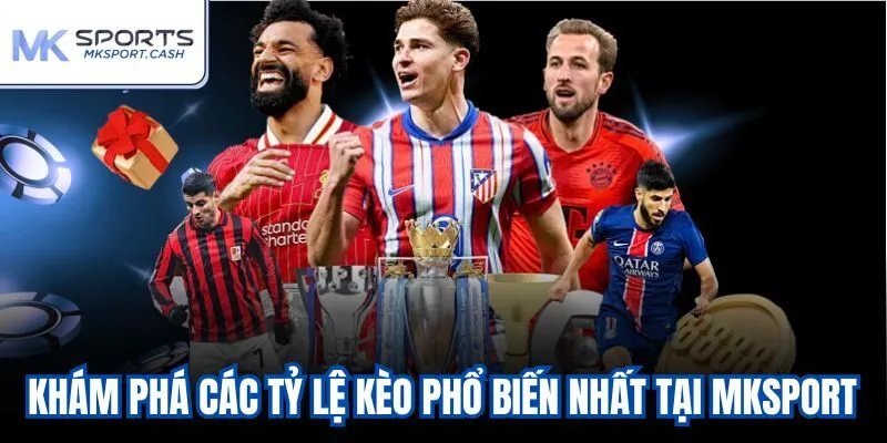 Khám phá các tỷ lệ kèo phổ biến nhất tại Mksport