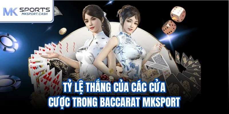 Tỷ lệ thắng của các cửa cược trong baccarat mksport